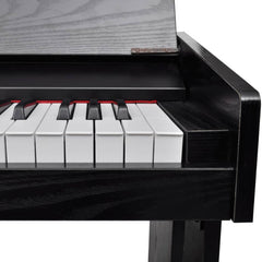 Electronic Piano/digital Piano With 88 Keys & Music Stand - View 5