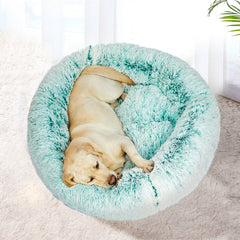 PaWz Pet Beds Dog Cat Soft Warm Kennel XXL Teal XX-Large-1954802522367594502