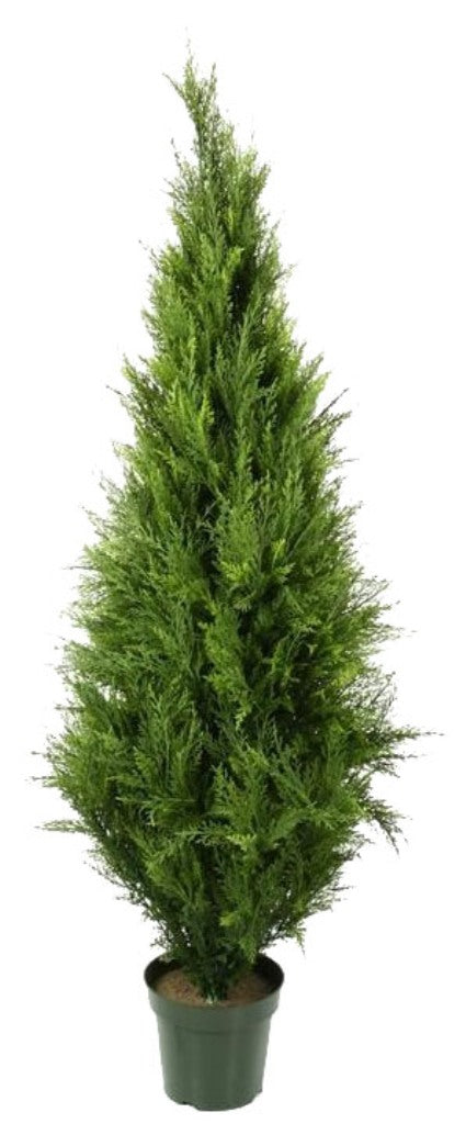 UV Resistant Cypress Pine Tree 2.1m