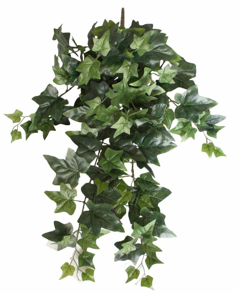 Mixed Ivy Hanging Bush 70cm