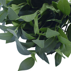 Artificial Bayleaf Foliage Bunch 45cm