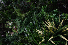 UV Stabilized Green Forest Select Range Vertical Garden 100cm X 100cm