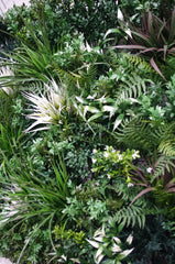 UV Stabilized Green Forest Select Range Vertical Garden 100cm X 100cm